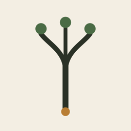 Radix app icon